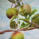 자연愛가 이미지