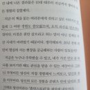 휴먼IT