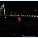 완도13호 이미지