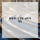 영양 만점 요리 이미지