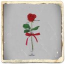 미라클  (miracle) 이미지