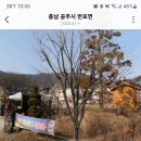 (취소)계룡산 상신리 산행 이미지