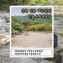 계곡과 자연이 함께하는 충북 영동 한울캠핑장 오토1박 후기