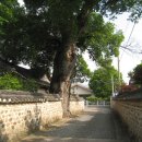 경훈농장 이미지