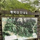 동악산 | 곡성 동악산 등산 후기