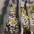 효정요양병원 | 대구시 천주성삼병원 장례식장 근조화환 구매율 높은 상품 모음전