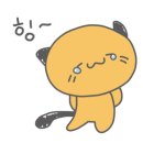 왕십리 고양이 위너펫 24시 이미지