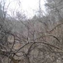 하천리-12 이미지