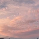 저불로69번길 이미지