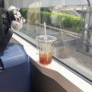 생큐마트 | 도쿄 Tokyo (도쿄 쇼핑리스트, 쿠라스시, 귀멸의칼날, 야끼니꾸 맛집, 돈키호테, 멘야무사시, 카페...