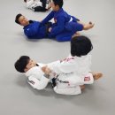 와이번 주짓수 합기도 이미지