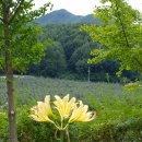 에이치팜 이미지