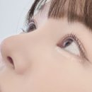 미오모르