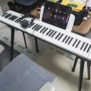 건반 위의 꿈 | 입문용 디지털 피아노 추천 블루투스 가능한 루볼 PS-300 88건반 헤드셋까지