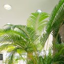 금강안경콘택트 이미지