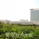 대한전기안전원
