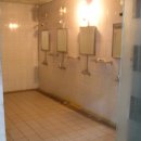 한국유도원 이미지