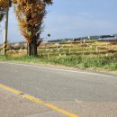 수북면사무소 이미지