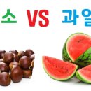 채소밭과일나무