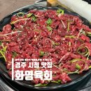 화영 스크린 | 경주 시청 맛집 화영육회 당일도축 한우 뭉티기 육회 포장 배달