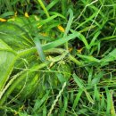 한덕농장 이미지