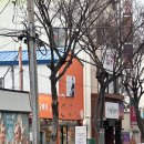 용남축산 | 제주공항근처맛집 넉둥베기 접짝뼈국 내돈내산 N번째