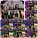 효진관 합기도 이미지