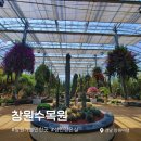 용지봉사계절 | 경남 창원여행 :: 가볼만한곳 추천 <창원수목원> 수목원 속 작은 사막 매력 가득한 선인장 온실