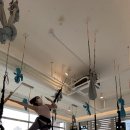 피트니스 에스 핏 이미지