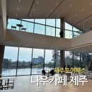 나우투어 - 중구 세종대로18길 16 | 서귀포 중문 나우카페 제주투어패스 이용 후기, 아이와 가기 좋은 2층 통창 카페