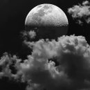 오늘 함께 이미지