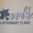 차동물병원 이미지