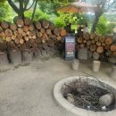 삼하리카페 | 양주 숲길정원 내돈내산, 올림피아 수영장 다녀온 뒤 꼭 들러야 할 힐링 🌳정원카페