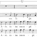 들으면서 배우는 서양 음악사 이미지