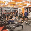 피버 플레이스(국민 피티) 이미지