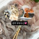 자인유통 | 경주 감포수산시장 가성비 횟집 부부수산 모듬회 포장 후기