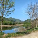 용담댐주유소 이미지