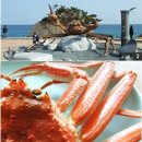 울진대게 이미지