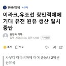 이라크,유조선 항만적체에 거대 유전 원유 생산 일시중단 이미지