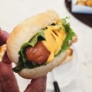 노래공원 | 마두동 맛집 미국식 핫도그 핫도규 솔직후기 일산호수공원 노래하는 분수대 메뉴 추천