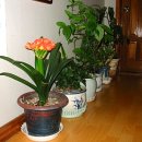 우리들 세상 이미지