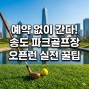 송도 달빛공원 인천송도파크골프장 | [2026] 송도 달빛공원 파크골프장 예약 및 재개장 정보: 타지역 이용 꿀팁
