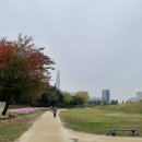 토성사우나 이미지