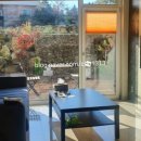 테라스힐 이미지