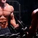 체육시간 휘트니스 이미지