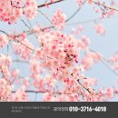 봄날모터스 이미지