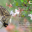 출23