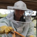 영일여관 이미지