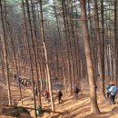 외딴터 | (2023.3.5.일)3월 정기산행&amp;시산제 하남 검단산...인테리어지기대장