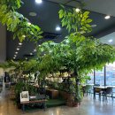 농가밥상 자연테이블 | 김포 쌈밥 장기동 맛집 자연테이블 석모리 건강 밥상 한정식